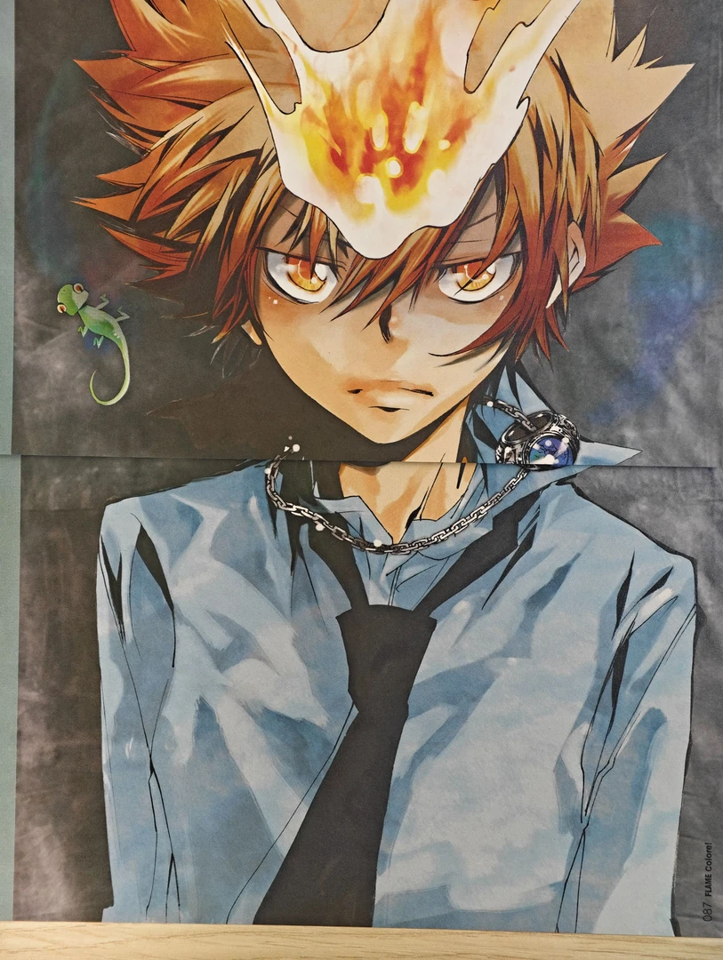 【日谷】 家庭教师 杂志切页书籍 （默认盲抽）