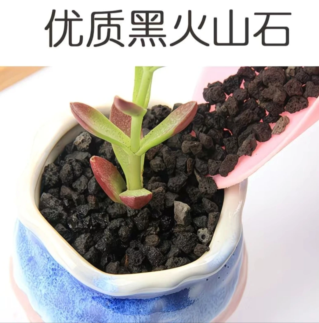 火山岩颗粒孔隙丰富含氧量高，君子兰绿植园艺伴侣