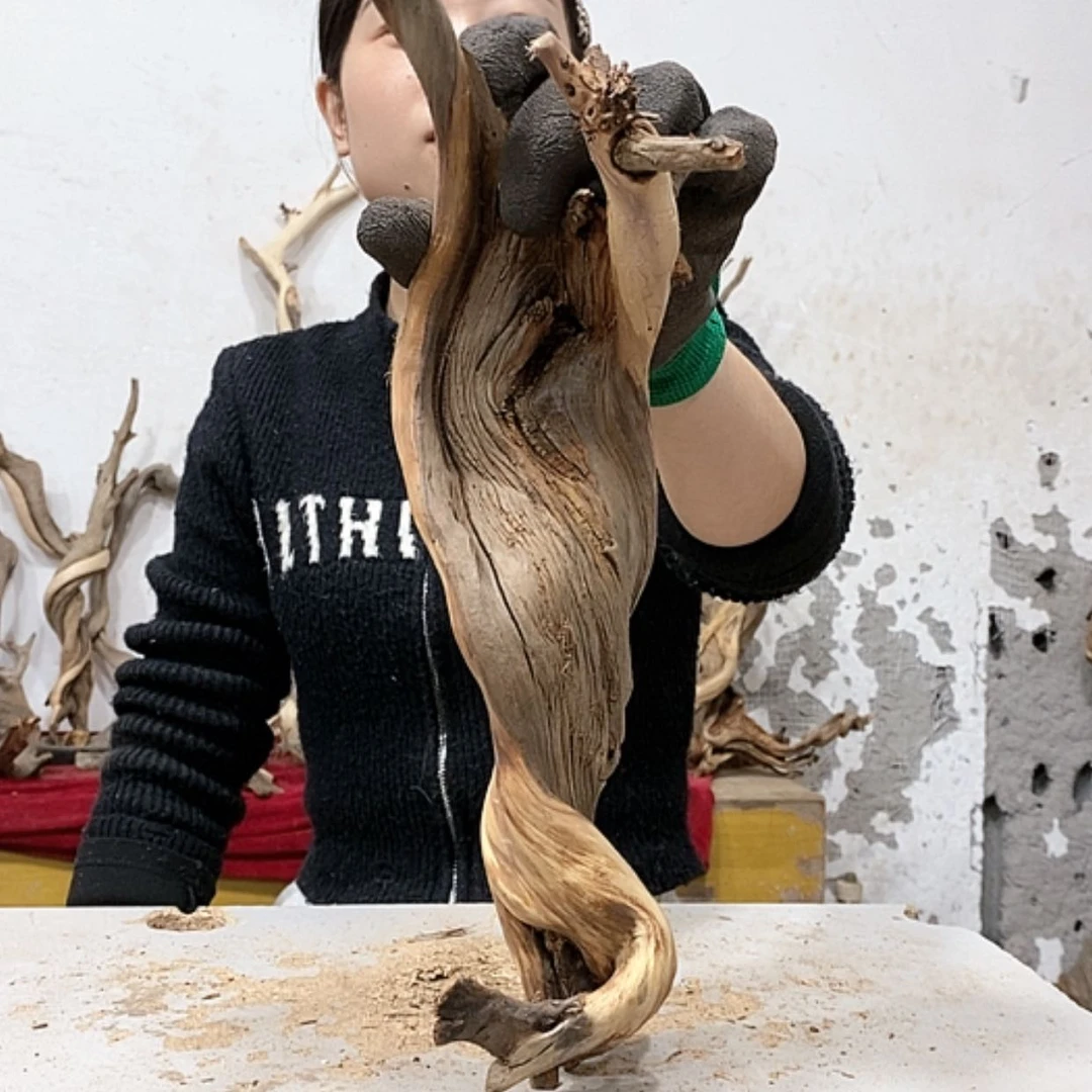 【闪购商品】柏木晖*我们都是好孩子