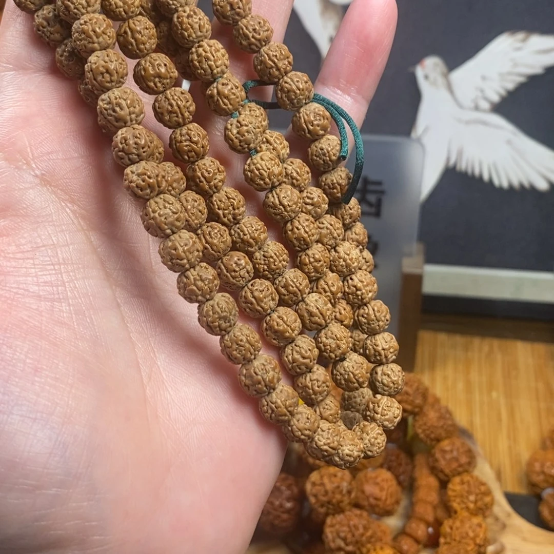 吊坠金刚菩提801代原籽