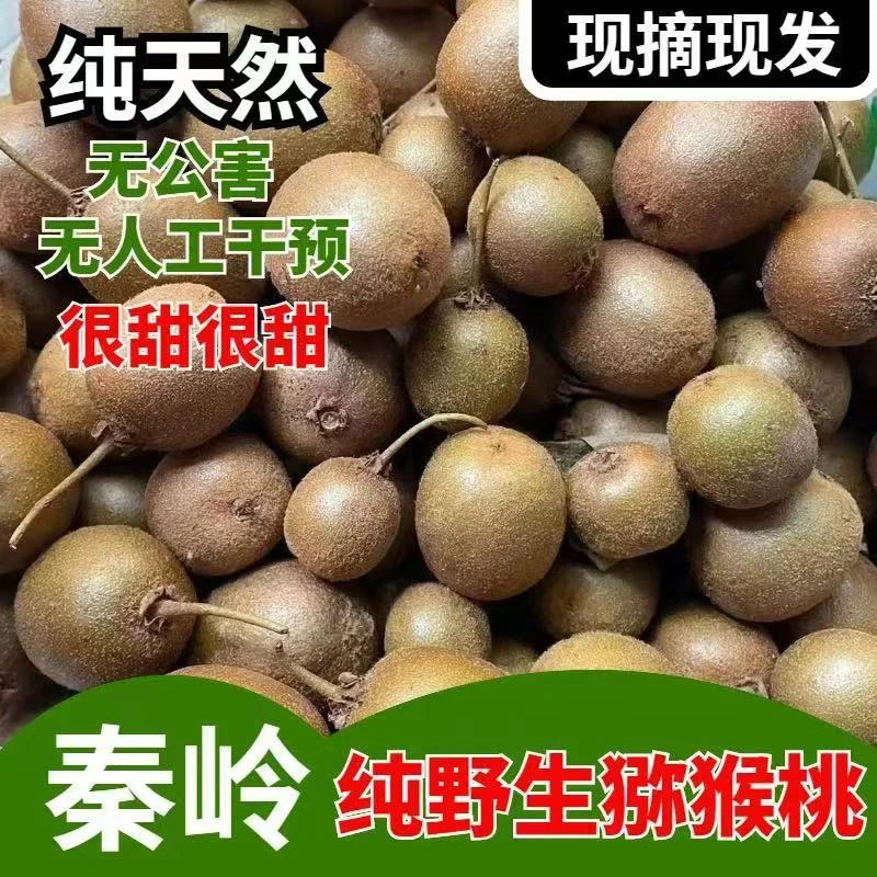 【纯野生】陕西秦岭野生猕猴桃纯天然原生态孕妇水果小绿心奇异果