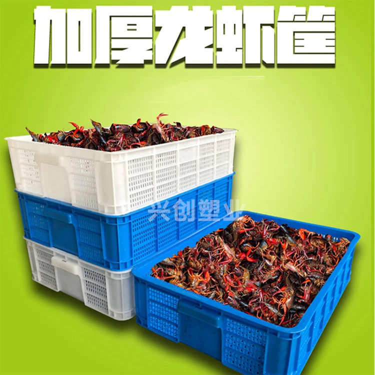 加厚塑料筐龙虾筐虾苗蟹苗鱼苗专用筐运输周转筐收纳筐胶筐篮