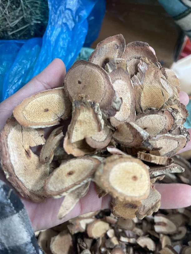 双藤汤套餐海风藤鸡血藤煲500克罗卜忽略