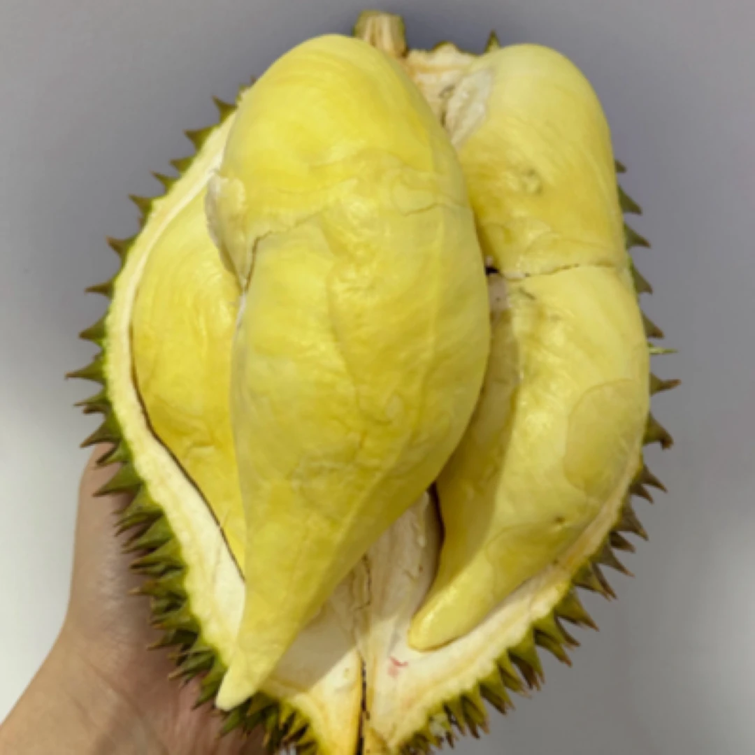 越南邦美蜀金枕鲜榴莲2斤（纯果肉）干包软糯（核小有售后）榴莲同城配金枕泰国