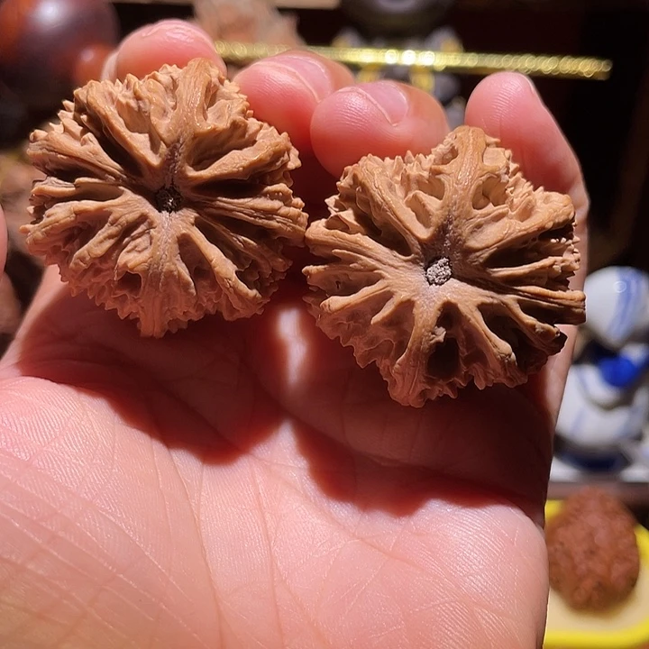 抖音直播间核桃菊花底