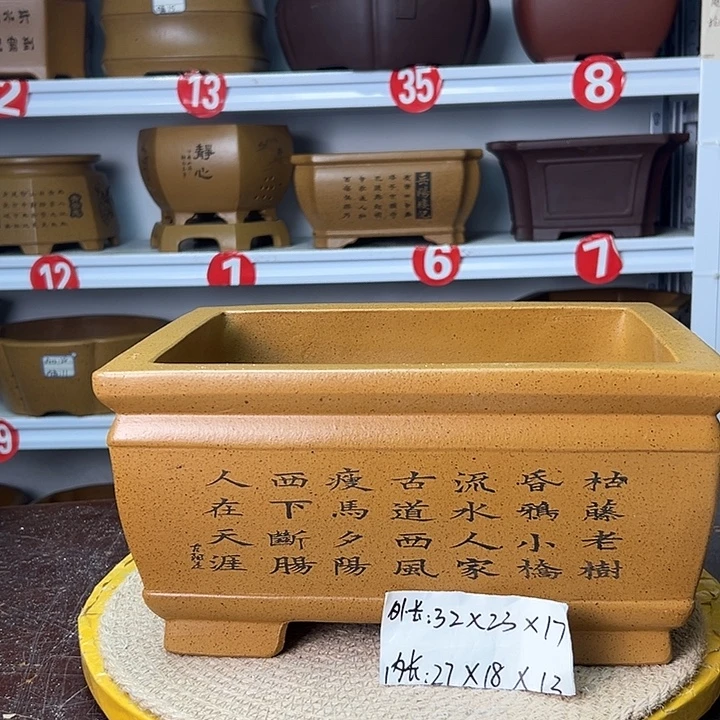 花盆紫砂你在一起