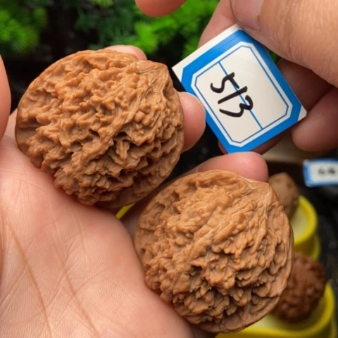 文玩核桃吊坠百花山42