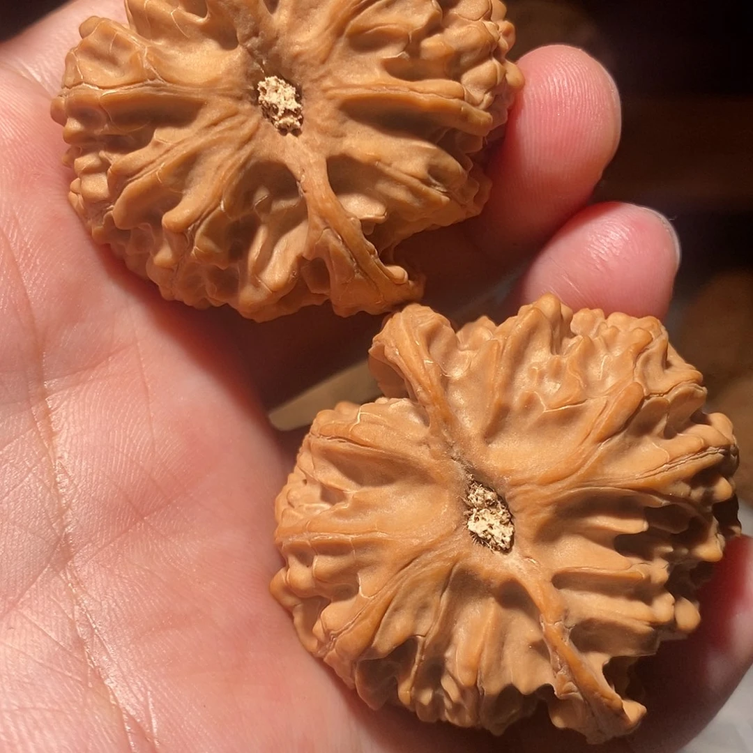 把件文玩核桃016苹果园45尺