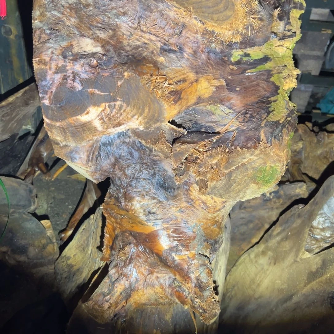 金丝楠壹*1141111145511