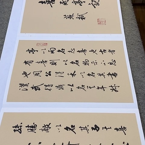 苏轼喜雨亭记行书册页作品