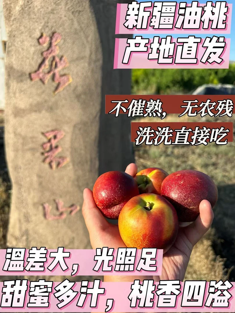 【空运直达】新疆石河子花果山王母【油桃】包邮