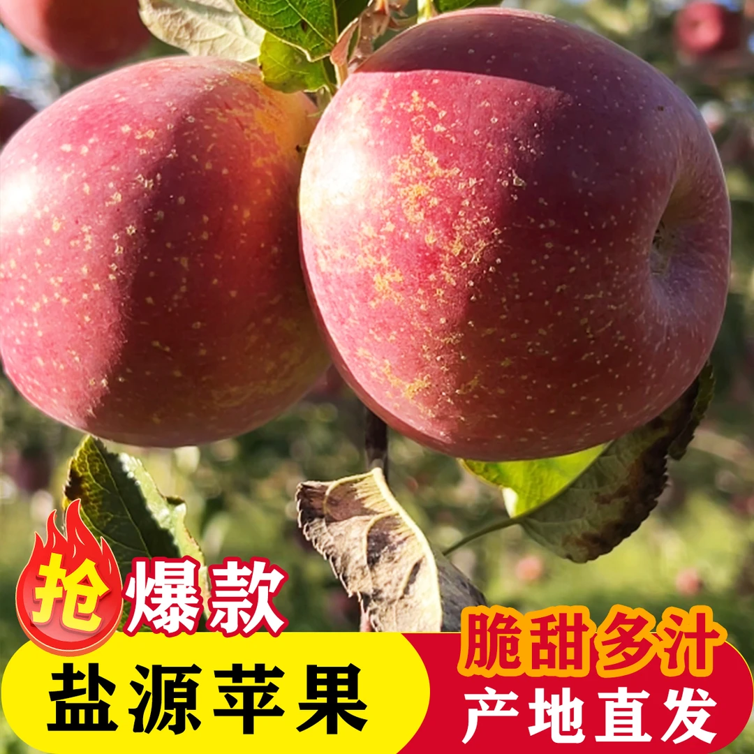 [誉农优品]四川大凉山丑苹果盐源苹果5/8斤当季水果新鲜采摘