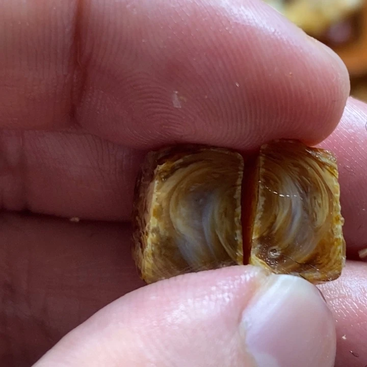 陈***成定制琥珀未镶嵌琥珀蜜蜡定制