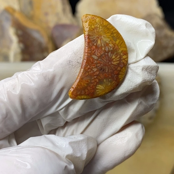 【闪购商品】未镶嵌珊瑚玉硅化玉