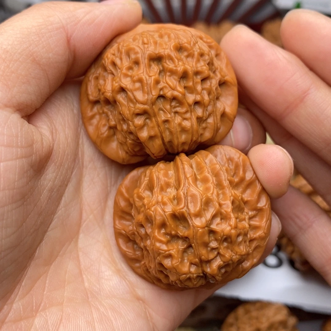 文玩核桃把件582号39全品血麒麟