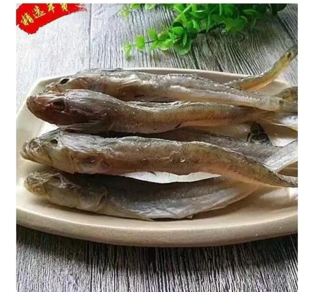 渤海湾油光鱼.狗光鱼（咸）5斤（新疆西藏不发货）