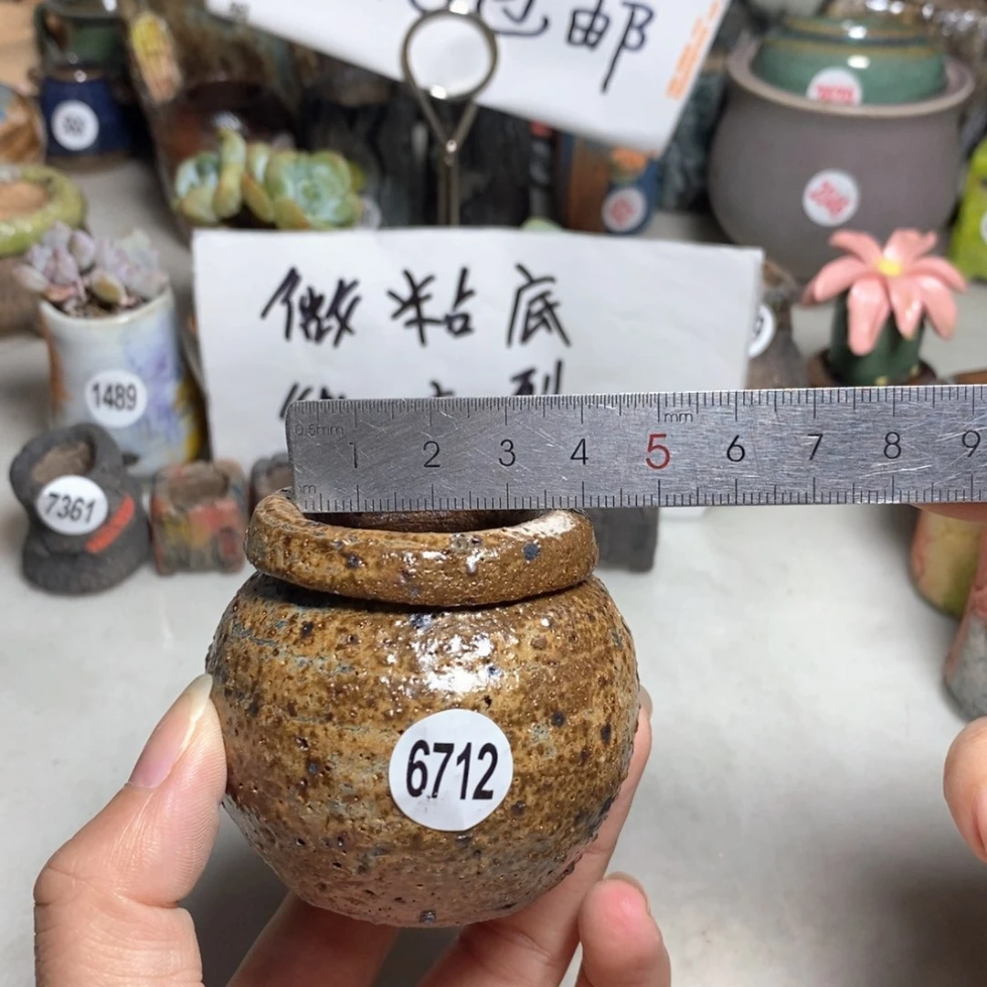 拍5送一个小礼物