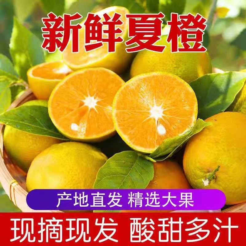 G【夏橙精品】湖北巴东现摘橙子酸甜多汁应季水果整箱2/5斤包邮