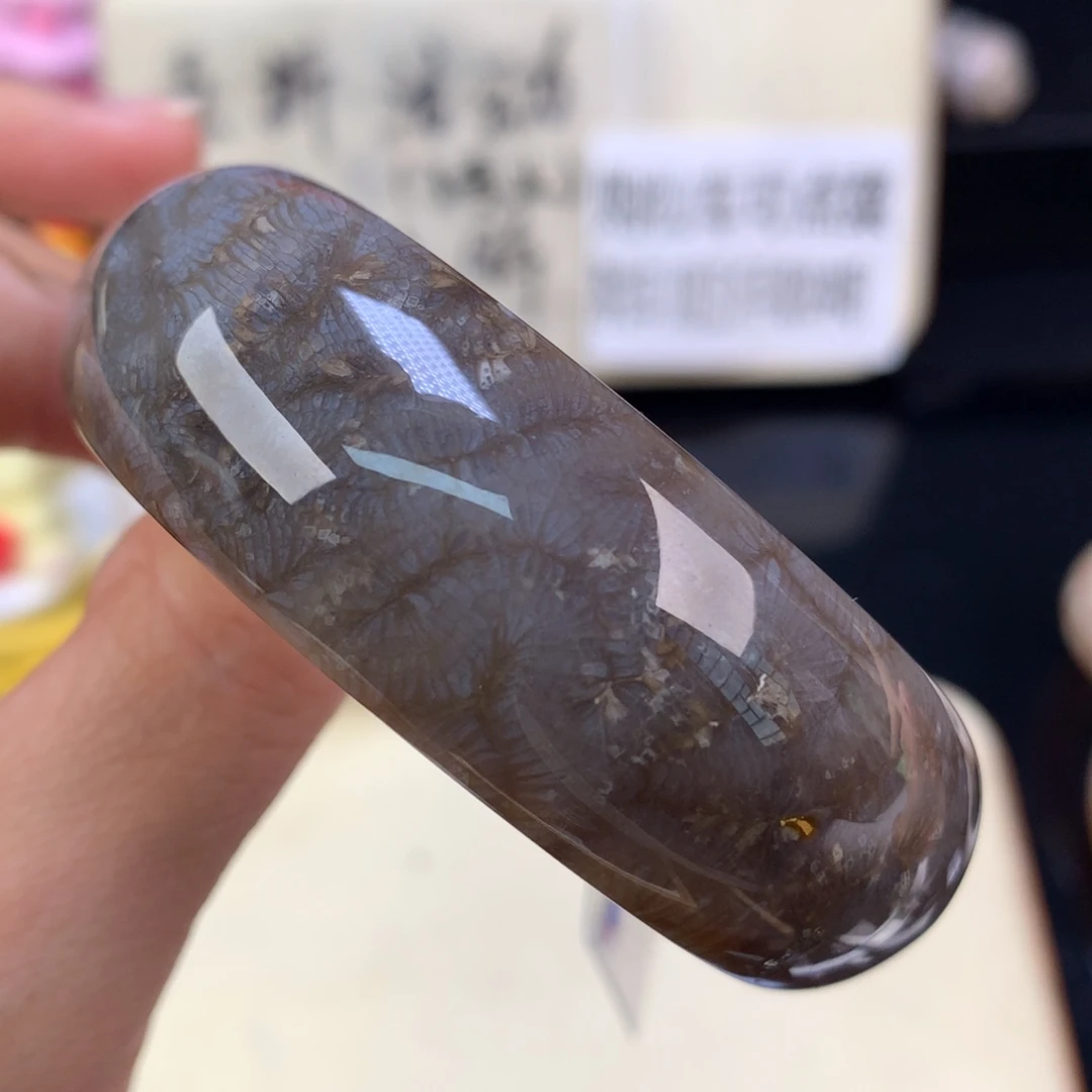 硅化珊瑚（珊瑚玉）未镶嵌颈饰1500漏750黑凤尾52.7圈（16号）