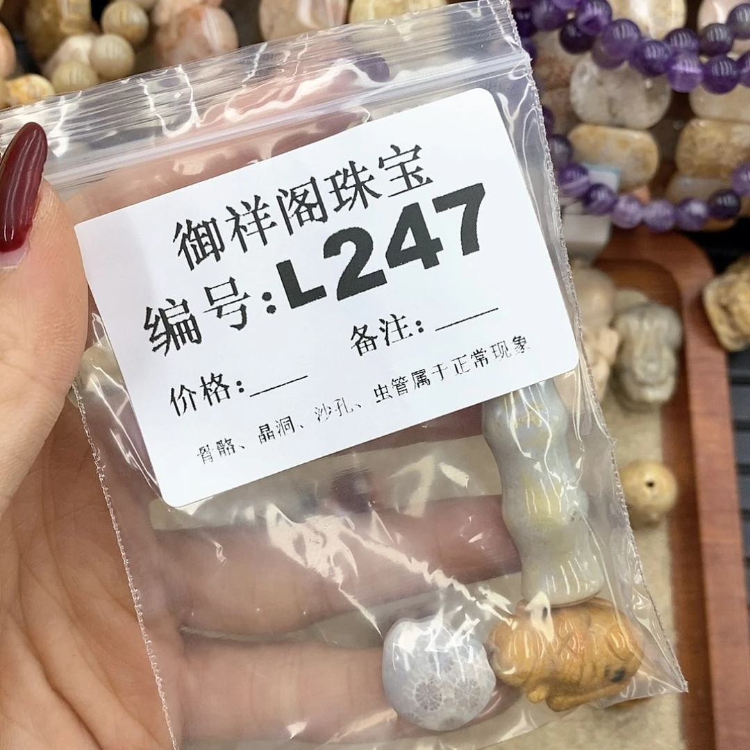 硅化珊瑚（珊瑚玉）L198未镶嵌?****喵