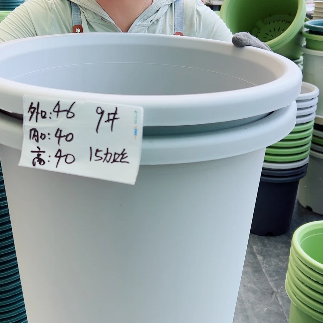 四季盆9#灰白色4个无托