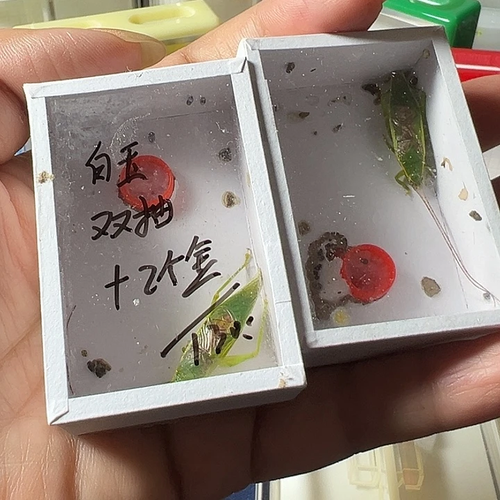 心***怡蟋蟀哈哈哈哈哈哈哈哈哈哈哈