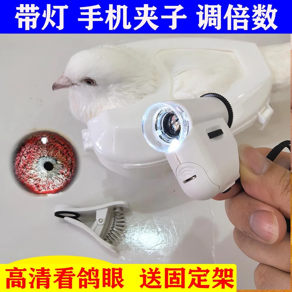 专用带灯看鸽眼放大镜赛鸽眼砂鉴定鸽镜手机拍照鸽眼镜头信鸽拍照