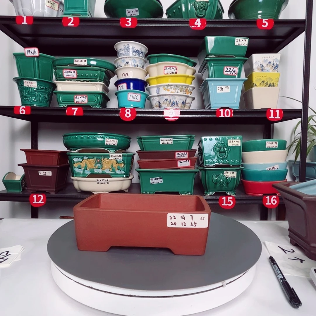 紫砂花盆直播间闪购链接