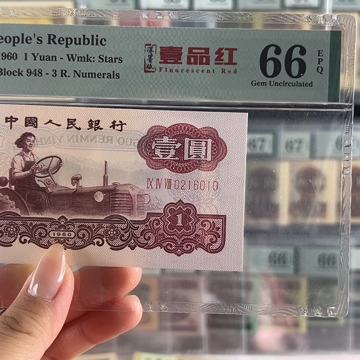 深墨版一品红朦胧包邮