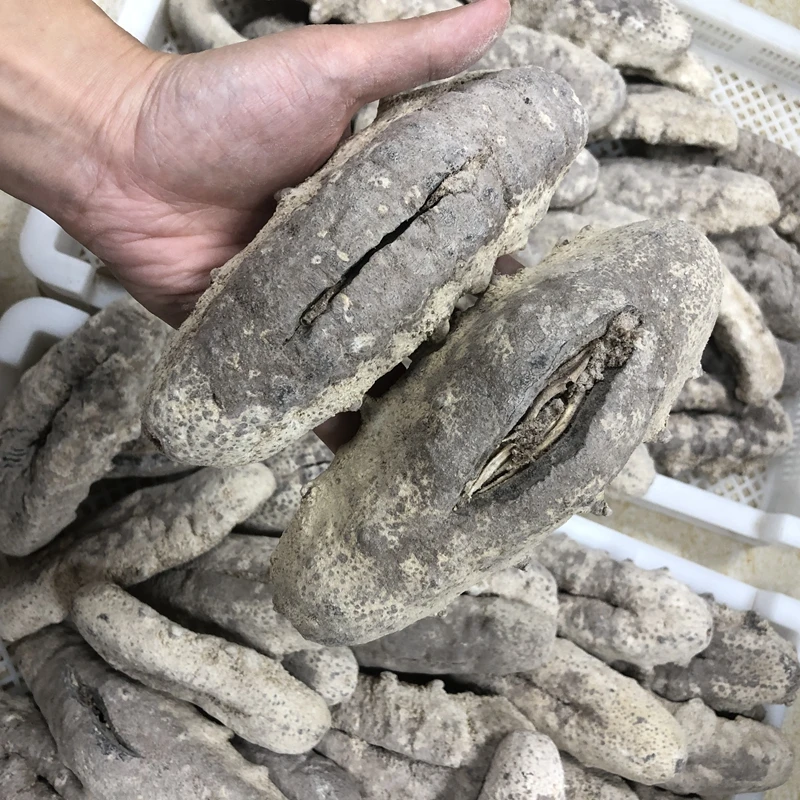 精选高品质白猪婆参黑猪婆参深海淡干海参干货批发-0损耗可代泡发