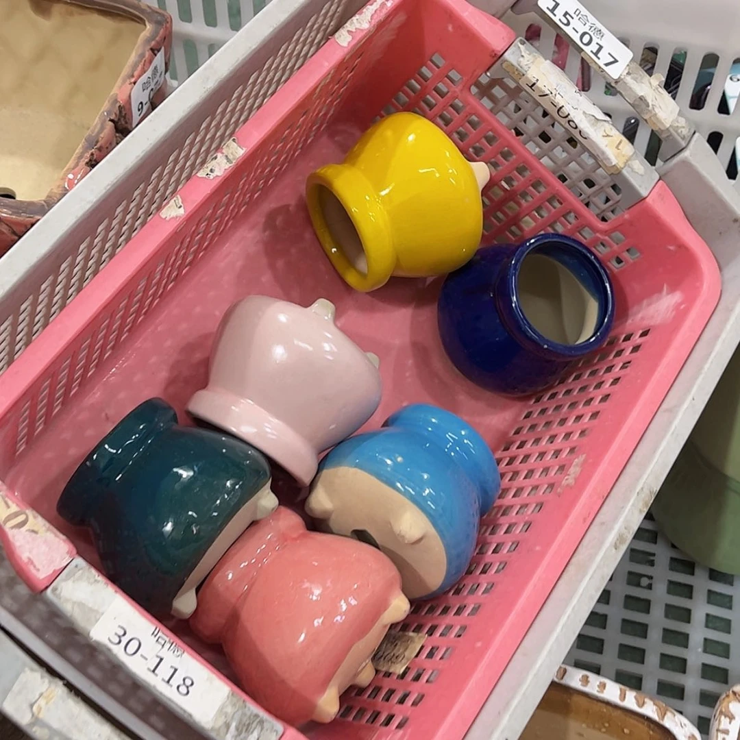 【闪购商品】红陶福利