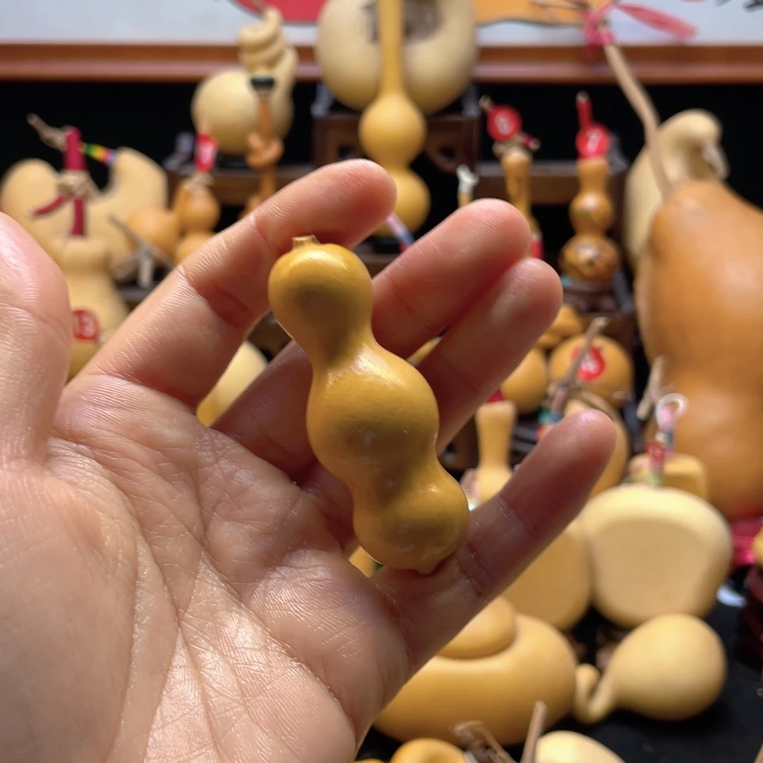 泉*荃大自然的秘密第十一节的