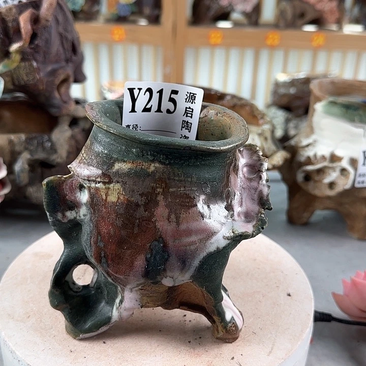 紫砂花盆塘****儿景德镇陶瓷多肉215