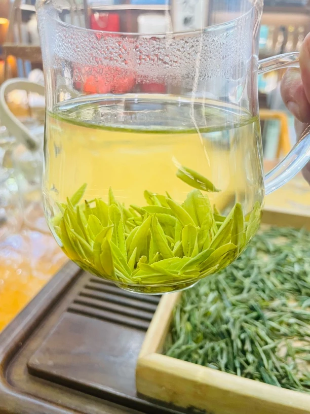 【招牌茶】霍山黄芽土种霍山大化坪高山茶兰香馥郁
