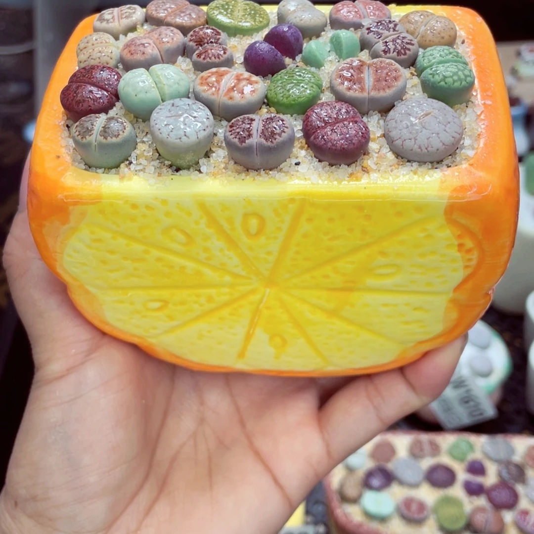 w1612 零下地区拍保温箱