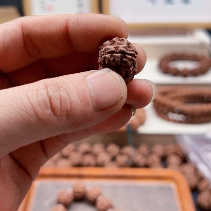 金刚菩提吊坠原生态霸王花19尺寸