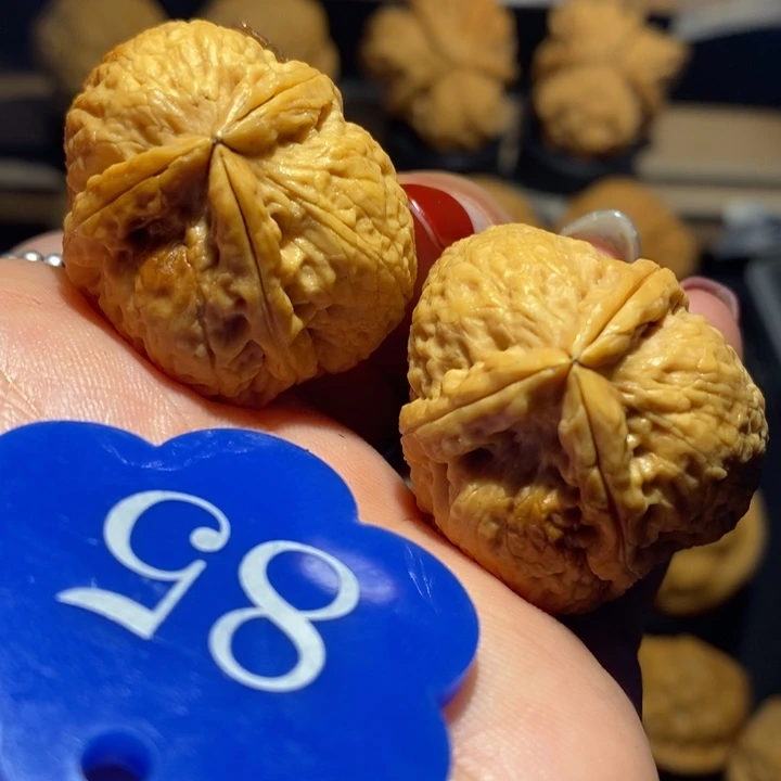 核桃粗筋三棱尺寸32