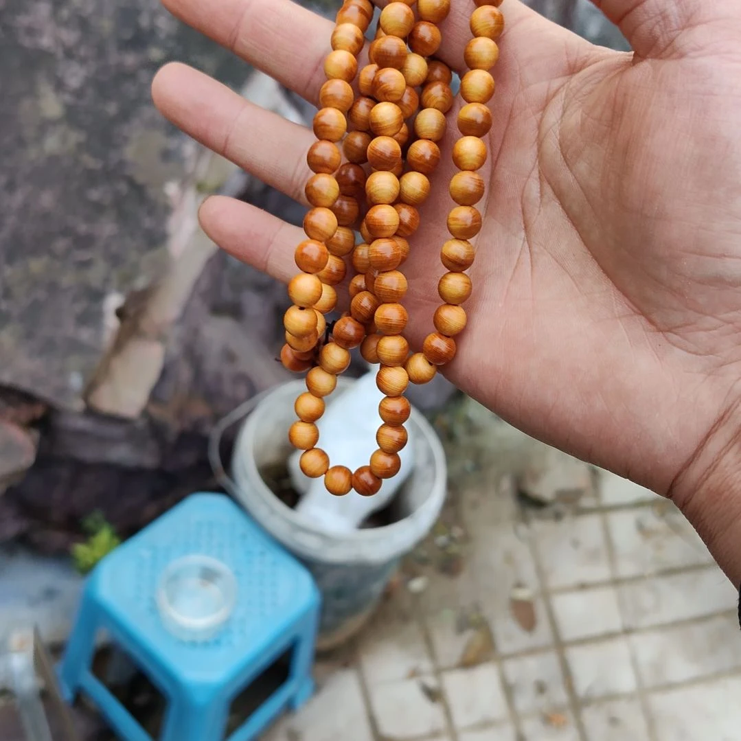 0.8黄金底太行崖柏一条