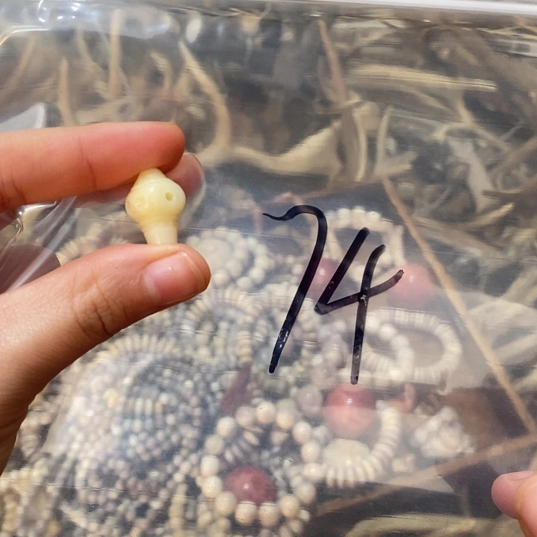 非金属鹿骨鹿骨鹿骨