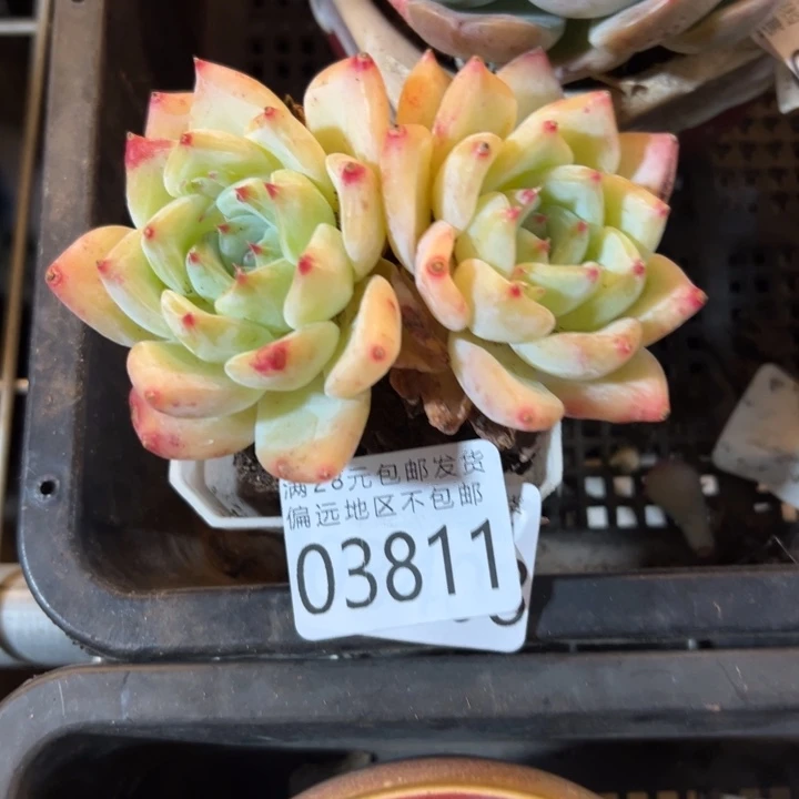 幸运的是我没有遇到