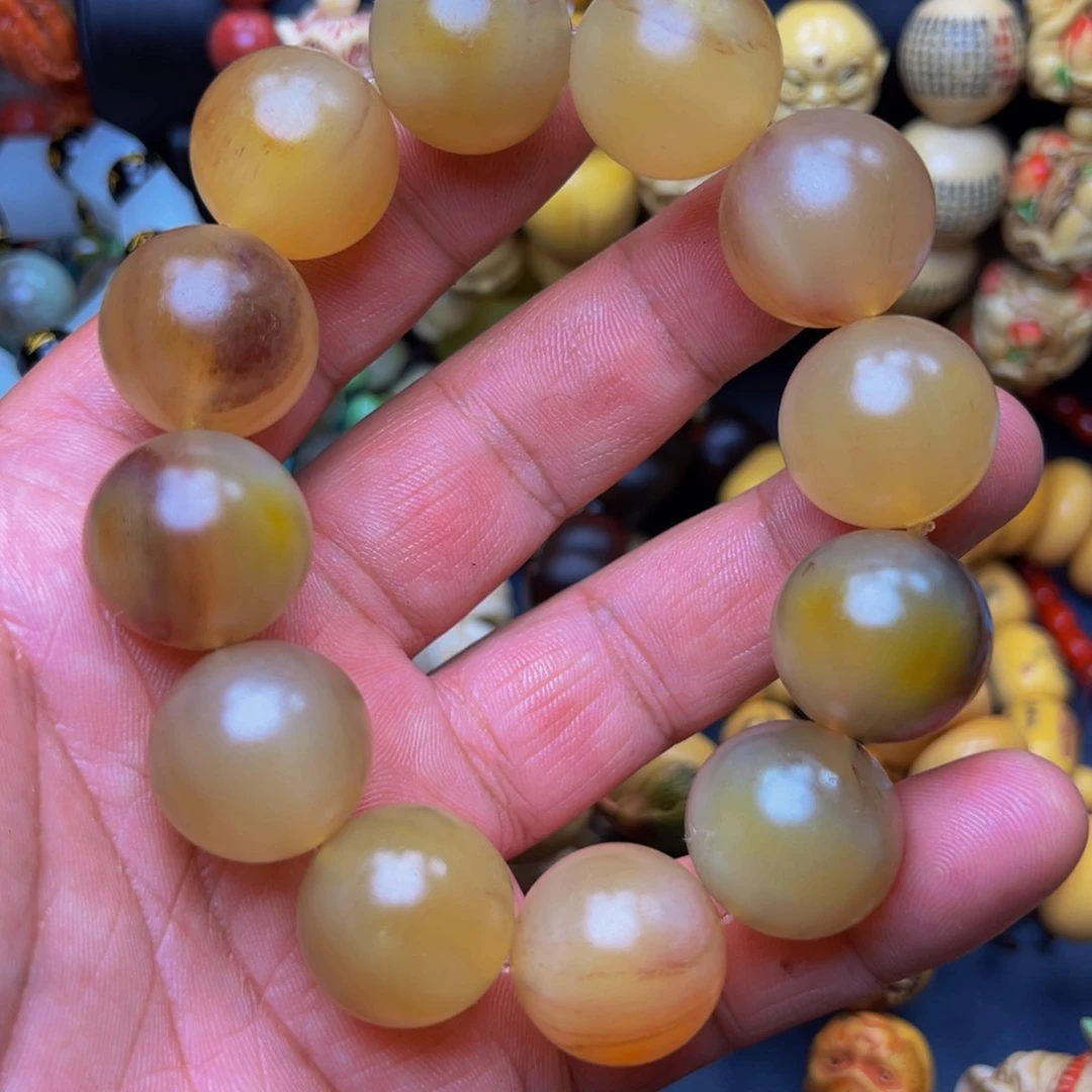 驼骨其他99569075899669990000