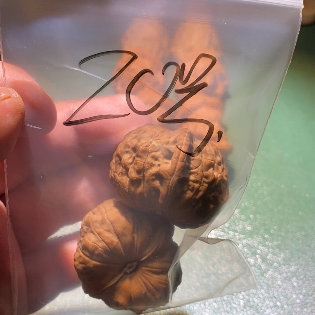 吊坠桃核南瓜和苹果一起用手