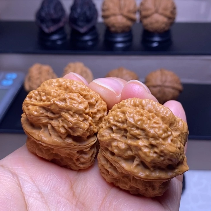 文玩核桃把件霸王龙脊61