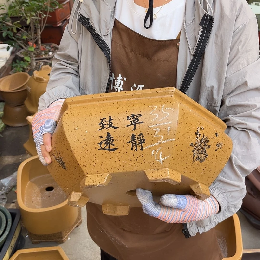 紫砂花盆盆景艺术