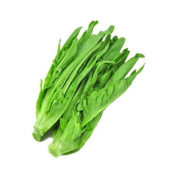 精品油麦菜约300克