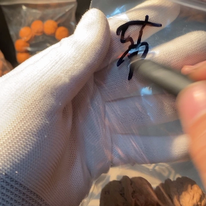 文玩核桃手串萧*?…………