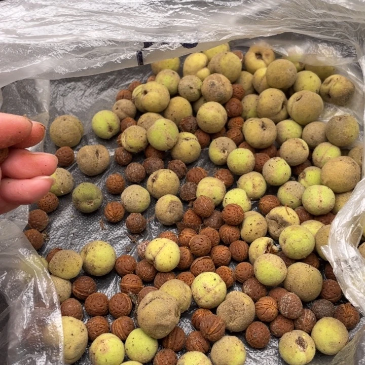 【闪购商品】核桃其他用****4青皮发货280不退不换
