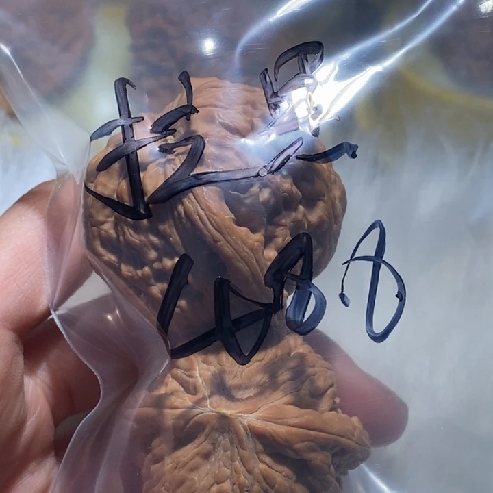 ****黑文玩核桃吊坠铁吹给你精我不在这里