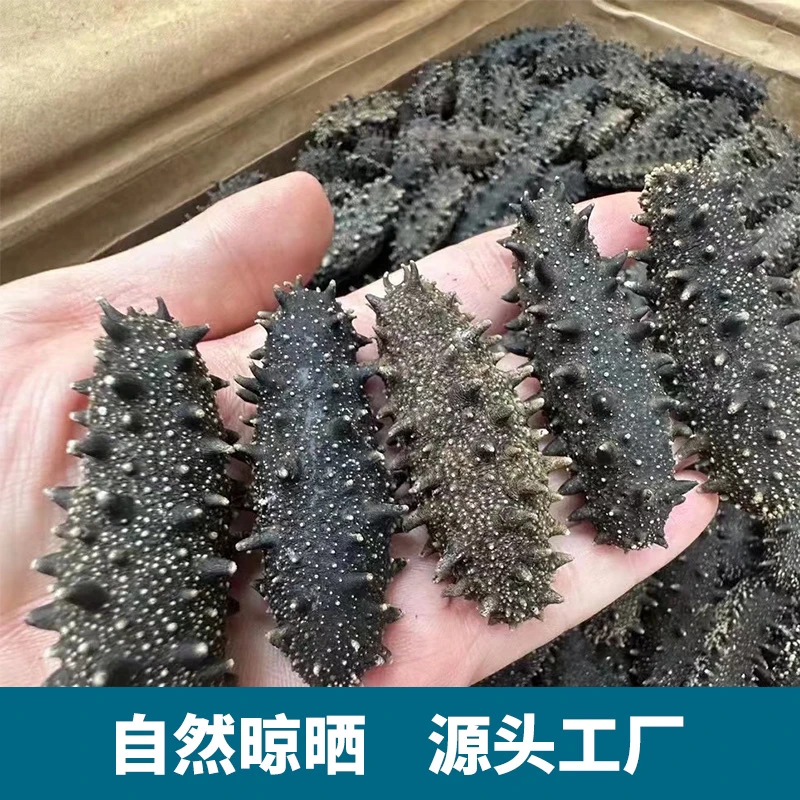 【瓦房店海参】渤海湾淡干海参30-40头/斤