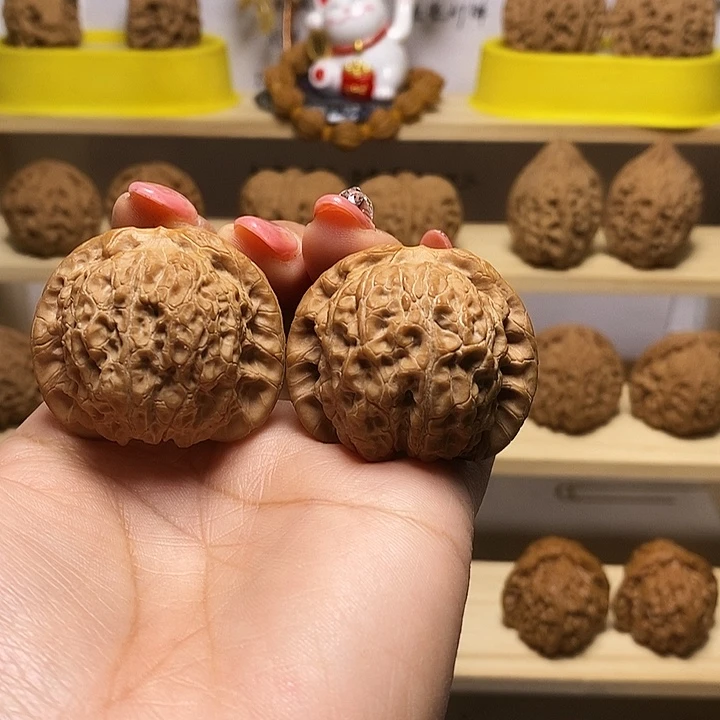 40尺寸的血麒麟核桃